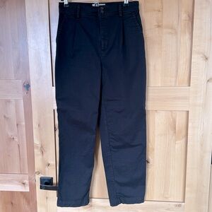Everlane Pleated Chino Pants